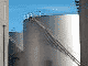 GH_17